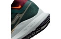 Thumbnail of nike-pegasus-trail-4-gore-tex_538715.jpg