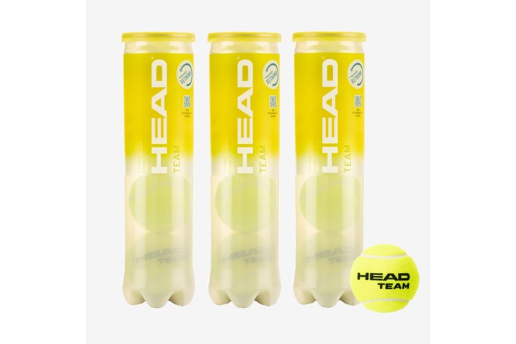 HEAD Team Tennis Balls